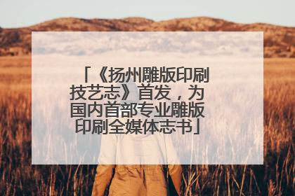 《扬州雕版印刷技艺志》首发，为国内首部专业雕版印刷全媒体志书