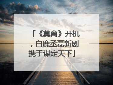 《莫离》开机，白鹿丞磊新剧携手谋定天下