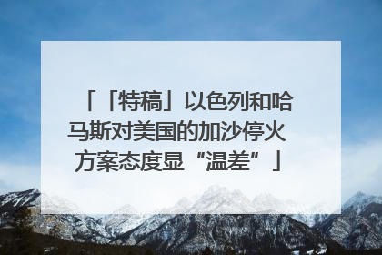 「特稿」以色列和哈马斯对美国的加沙停火方案态度显“温差”