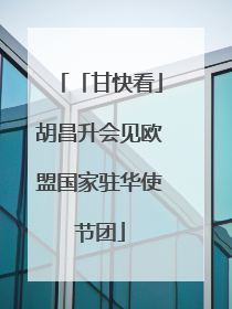 「甘快看」胡昌升会见欧盟国家驻华使节团
