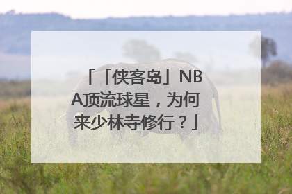 「侠客岛」NBA顶流球星，为何来少林寺修行？