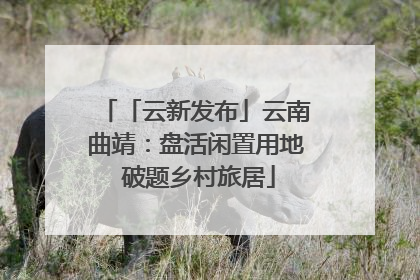 「云新发布」云南曲靖：盘活闲置用地 破题乡村旅居