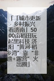 「城市更新· 乡村振兴看济南」5000亩稻田玩起黑科技 济阳“黄河·稻乡湾”靠“非遗+露营”火出圈