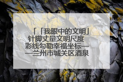 「我眼中的文明」针脚丈量文明尺度 彩线勾勒幸福坐标——兰州市城关区酒泉路街道办事处