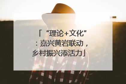 “理论+文化”：嘉兴黄岩联动，乡村振兴添活力