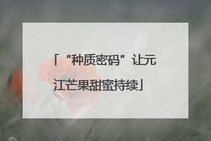 “种质密码”让元江芒果甜蜜持续