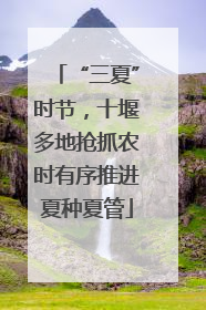“三夏”时节，十堰多地抢抓农时有序推进夏种夏管