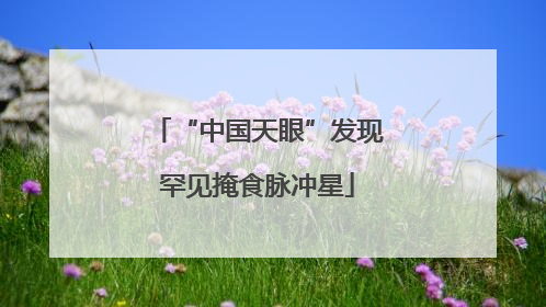 “中国天眼”发现罕见掩食脉冲星