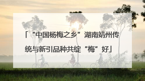 “中国杨梅之乡”湖南靖州传统与新引品种共绽“梅”好