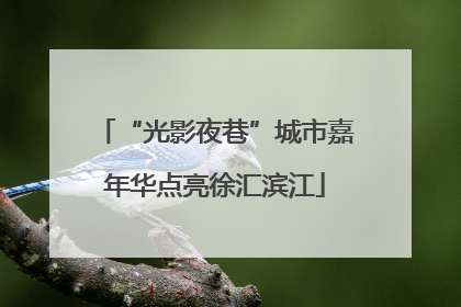 “光影夜巷”城市嘉年华点亮徐汇滨江