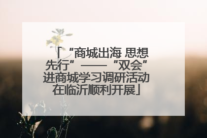 “商城出海 思想先行”——“双会”进商城学习调研活动在临沂顺利开展