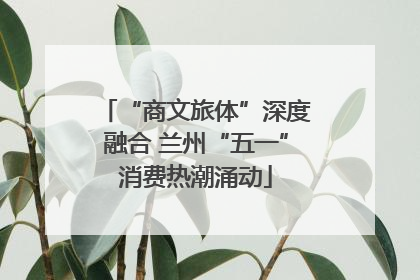 “商文旅体”深度融合 兰州“五一”消费热潮涌动