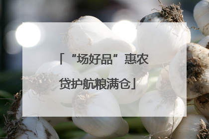 “场好品”惠农贷护航粮满仓