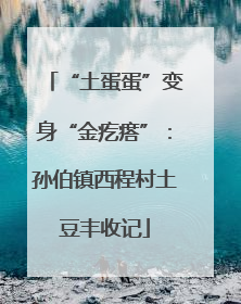 “土蛋蛋”变身“金疙瘩”：孙伯镇西程村土豆丰收记
