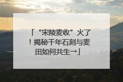 “宋陵麦收”火了！揭秘千年石刻与麦田如何共生→
