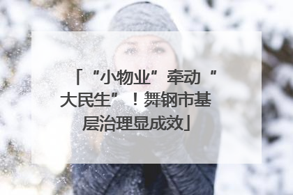 “小物业”牵动“大民生”！舞钢市基层治理显成效