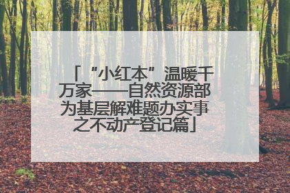 “小红本”温暖千万家——自然资源部为基层解难题办实事之不动产登记篇