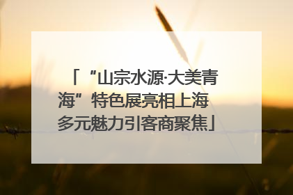 “山宗水源·大美青海”特色展亮相上海 多元魅力引客商聚焦