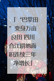 “巴掌田”变身万亩良田 四川合江耕地面积连续三年净增长