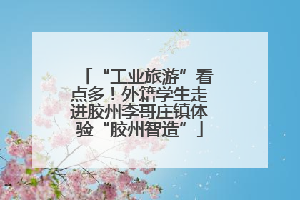 “工业旅游”看点多！外籍学生走进胶州李哥庄镇体验“胶州智造”
