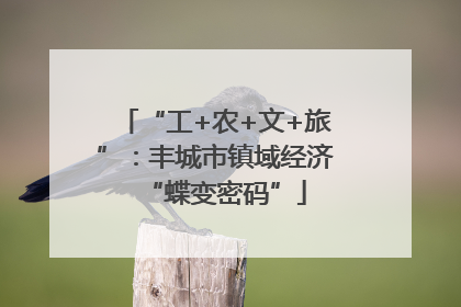 “工+农+文+旅”：丰城市镇域经济“蝶变密码”