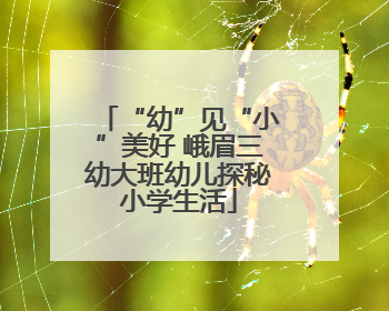 “幼”见“小”美好 峨眉三幼大班幼儿探秘小学生活