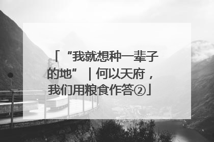 “我就想种一辈子的地”｜何以天府，我们用粮食作答②