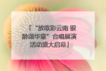 “放歌彩云南 银龄颂华章”合唱展演活动盛大启幕