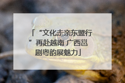 “文化走亲东盟行”再赴越南 广西邕剧粤韵展魅力