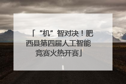 “机”智对决！肥西县第四届人工智能竞赛火热开赛