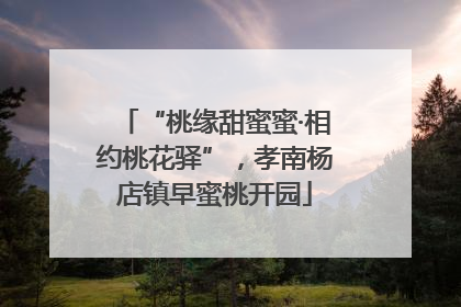 “桃缘甜蜜蜜·相约桃花驿”，孝南杨店镇早蜜桃开园