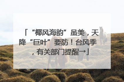 “椰风海韵”虽美，天降“巨叶”要防！台风季，有关部门提醒→