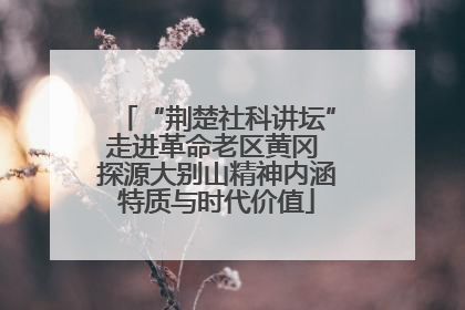 “荆楚社科讲坛”走进革命老区黄冈 探源大别山精神内涵特质与时代价值