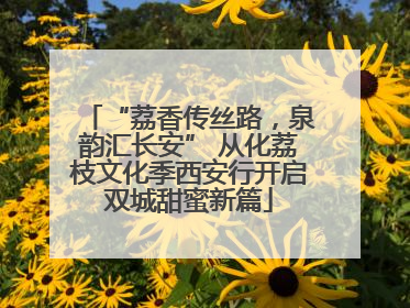 “荔香传丝路，泉韵汇长安” 从化荔枝文化季西安行开启双城甜蜜新篇