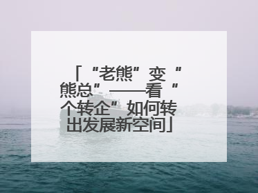 “老熊”变“熊总”——看“个转企”如何转出发展新空间