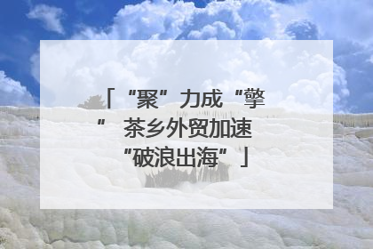 “聚”力成“擎” 茶乡外贸加速“破浪出海”