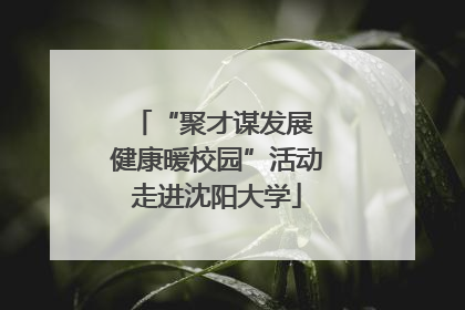 “聚才谋发展 健康暖校园”活动走进沈阳大学