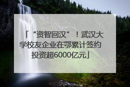 “资智回汉”！武汉大学校友企业在鄂累计签约投资超6000亿元