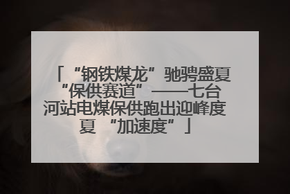 “钢铁煤龙”驰骋盛夏 “保供赛道”——七台河站电煤保供跑出迎峰度夏 “加速度”