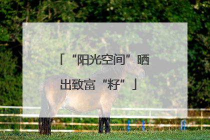 “阳光空间”晒出致富“籽”