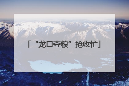 “龙口夺粮”抢收忙