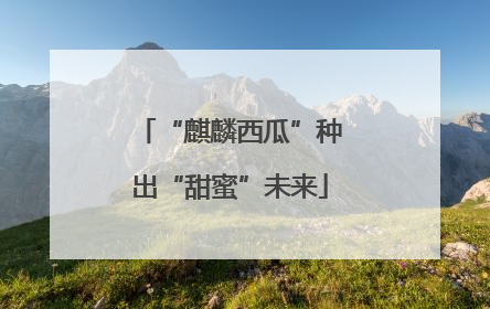 “麒麟西瓜”种出“甜蜜”未来
