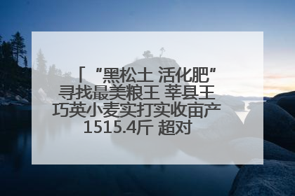 “黑松土 活化肥”寻找最美粮王 莘县王巧英小麦实打实收亩产1515.4斤 超对照田144斤！