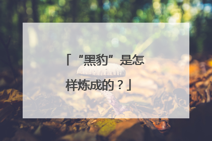 “黑豹”是怎样炼成的？