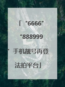 “6666”“888999”手机靓号再登法拍平台