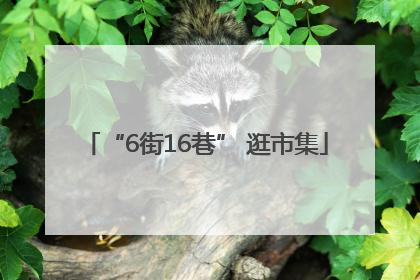 “6街16巷” 逛市集