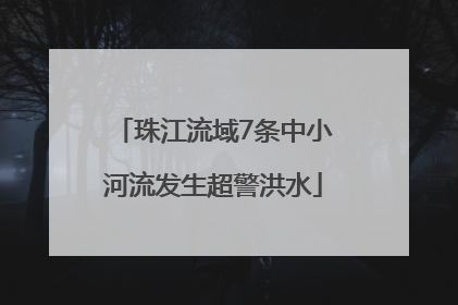 珠江流域7条中小河流发生超警洪水