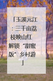 玉溪元江：三千亩荔枝映山红 解锁“甜蜜版”乡村游
