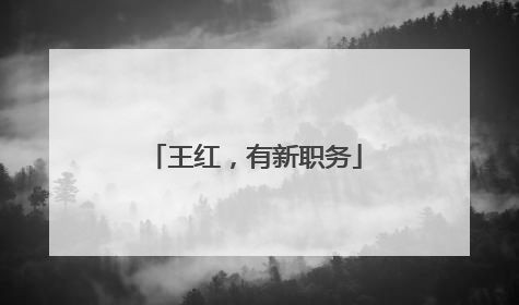 王红，有新职务