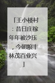 王小楼村：昔日庄稼年年被沙压，今朝粮丰林茂百业兴